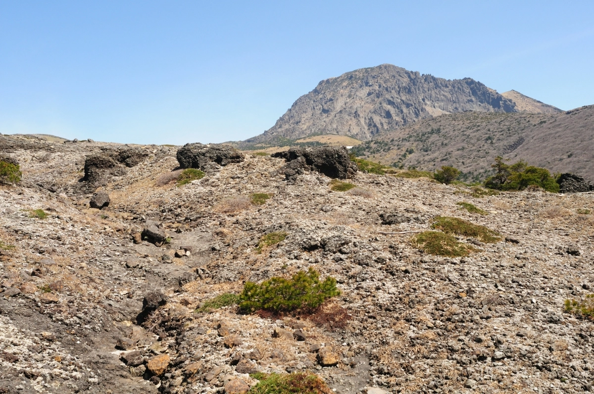 유문암질 각력암들이 널려 있는 한라산 모세왓의 모습. 국가유산청·제주도세계유산본부 제공