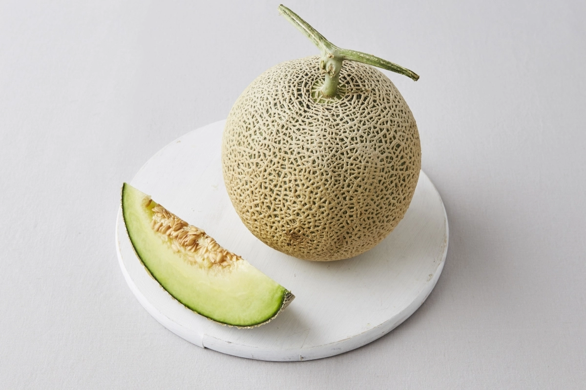 멜론. 아이클릭아트