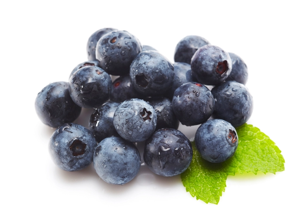 블루베리. 아이클릭아트