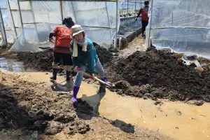 이채영 경기도의원, 가평 조종면 찾아 수해복구 동참