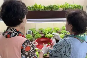 서울 강서구, 치매 환자·가족 위한 ‘안심 일자리’