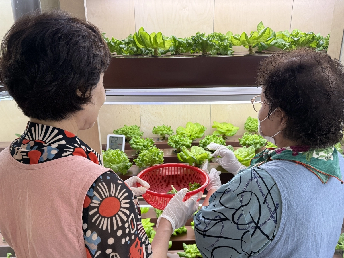 초로기 치매 환자 ‘초록기억카페 바리스타’