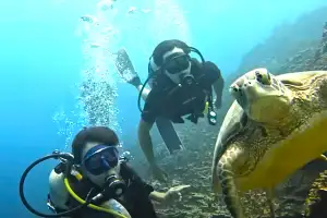 “40만원 항공권을 무료로”…괌, ‘이런 여행객’에 통 큰 혜택 뿌린다