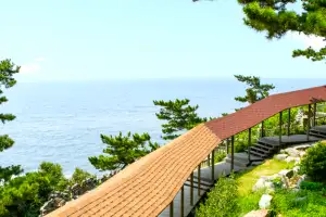 “태양을 피하고 싶어서”…폭염에도 시원하게 걷는 ‘숨은 산책 명소’ [뚜벅뚜벅 대한민국]