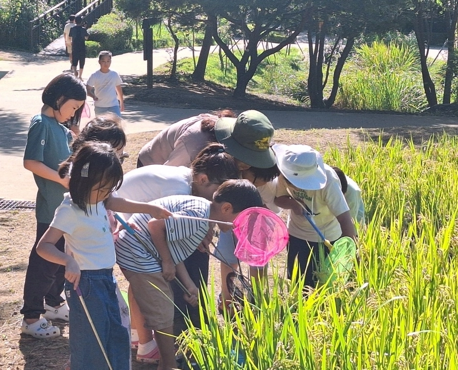 서울 강동구에서 진행 중인 숲 해설 프로그램 모습. 강동구 제공