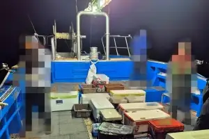 갈치 금어기 불법조업…낚시꾼 선원 위장한 선장 송치