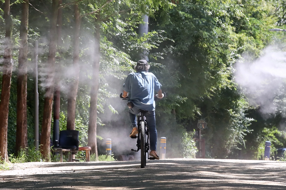 대구 남구 앞산 고산골에서 자전거를 탄 시민이 쿨링포그가 가동된 등산로를 지나고 있다. 기사와 직접적인 관련 없음. 뉴스1