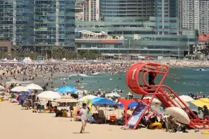 부산 해운대해수욕장, 개장 한 달 만에 해파리 차단망 설치