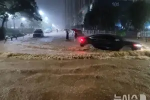 전남도, 극한 호우로 비 피해 속출