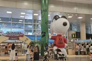 바캉스 시즌 제주관광 활짝 웃었다… 제주국제공항 첫 골든크로스 기록