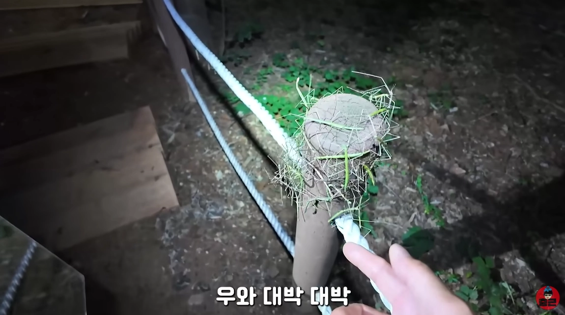 대벌레가 대량 발생한 인천의 한 산 위 나무기둥 하나에 대벌레 여러 마리가 다닥다닥 붙어 있다. 유튜브 채널 ‘이충근’ 캡처