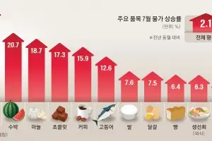 밥상물가 덮친 폭염과 폭우… 수박 21%·한우 5% 뛰었다