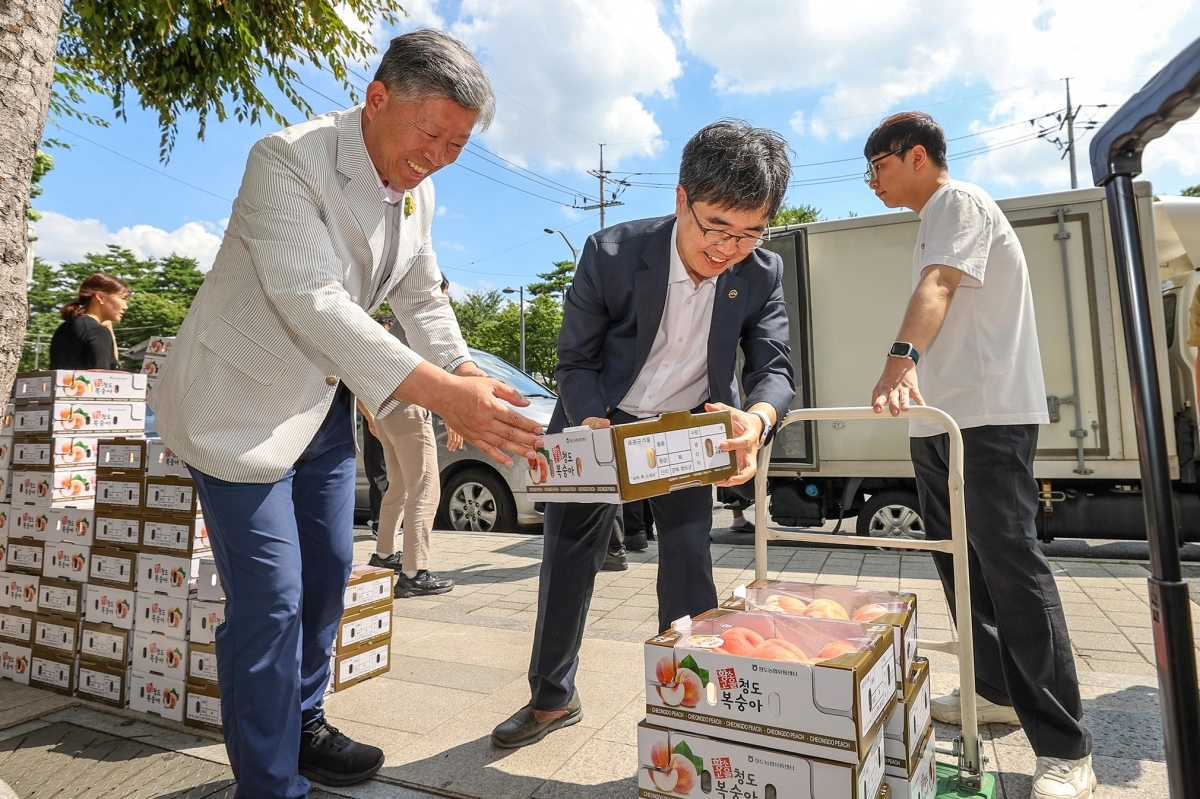 서울 동대문구와 경북 청도군의 자매결연 기념 복숭아 특판 행사에서 김영신(오른쪽) 동대문구행정지원과장과 김홍욱(가운데) 청도군 농업정책과장이 복숭아를 싣고 있다. 동대문구 제공