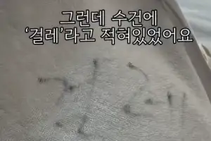 “아이 닦은 수건, 걸레였다”…여수, 식당 불친절 이어 ‘호텔 위생’ 논란