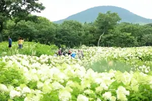 中 단체관광객 9월말부터 한시적 무비자 시행…내년 6월까지