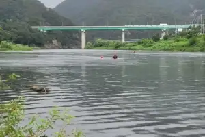 원주 섬강서 다슬기 잡던 2명 물에 빠져 숨져