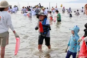 ‘감쪽같은 보성전어축제’ 8월 22일 개막···감자, 쪽파, 전어 함께하는 통합 행사