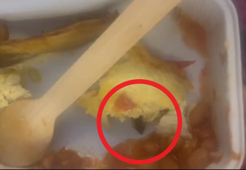지난 2일(현지시간) 미국 샌프란시스코에서 출발해 인도 뭄바이로 향하던 에어인디아 여객기에서 바퀴벌레가 나온 일이 발생해 에어인디아 측이 사과했다. 바퀴벌레나 쥐 관련 에어인디아의 비위생 논란은 이번이 처음은 아니다. 사진은 지난해 9월 인도 델리에서 미국 뉴욕으로 향하던 에어인디아 여객기 기내식에서 나왔던 죽은 바퀴벌레. 엑스 계정 ‘suyeshasavant’ 캡처