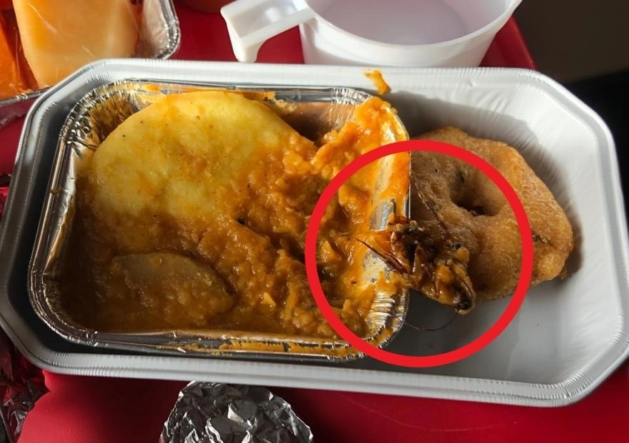 지난 2일(현지시간) 미국 샌프란시스코에서 출발해 인도 뭄바이로 향하던 에어인디아 여객기에서 바퀴벌레가 나온 일이 발생해 에어인디아 측이 사과했다. 바퀴벌레나 쥐 관련 에어인디아의 비위생 논란은 이번이 처음은 아니다. 사진은 2019년 2월 인도 보팔에서 뭄바이로 향하던 에어인디아 여객기 기내식에서 나온 죽은 바퀴벌레. 엑스 계정 ‘manojkhandekar’ 캡처