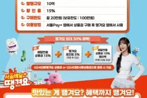 공공배달앱 전용 ‘서대문땡겨요상품권’ 8일 10억원 발행