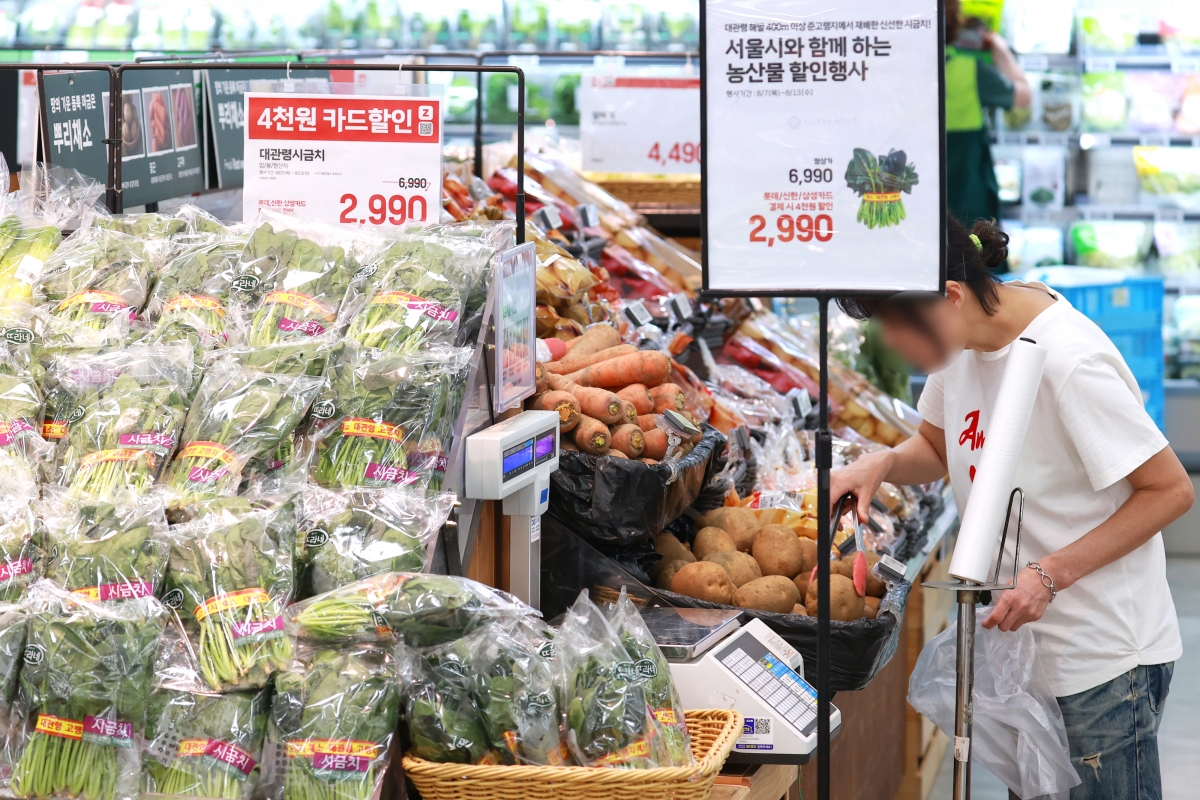 서울시·롯데마트, 시금치 7000단 57% 할인 공급