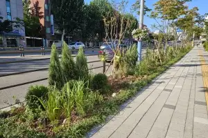 서울시, 1년 반 동안 도로변 곳곳에 2180개 정원 조성…한뼘정원·교통섬정원 등