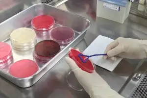 전남동물위생시험소, 폭염에 낙농가 사양 관리 당부