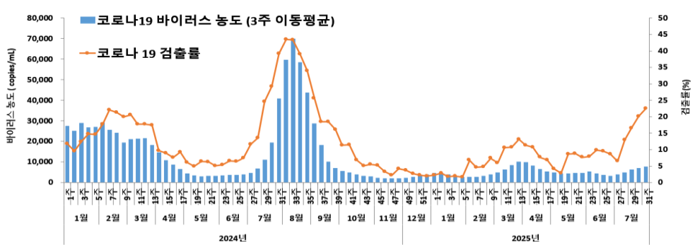 코로나19 바이러스 검출률 및 하수 감시 현황(‘24년 1주～25년 31주)