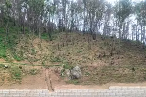 경북 영덕군, 산불 피해 회복 속도…2차 피해 예방 집중