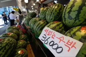 수박 사 먹기 무섭네