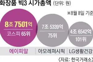 북미·온라인에서 몸집 키운 ‘에이피알’… 아모레퍼시픽 제치고 K뷰티 ‘시총 1위’