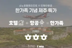 “티웨이항공 자본잠식 문제부터”…대명소노 지주사 IPO 연기