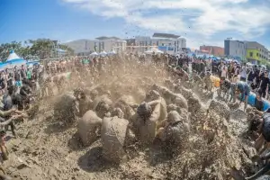‘글로벌 K-페스티벌’ 위상 재확인, 보령머드축제 폐막