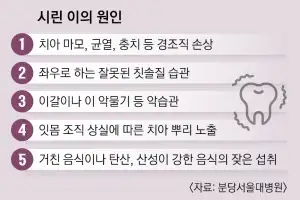 팥빙수 한입에 찌릿… 이 시릴 때 양치는 위아래로, 탄산은 멀리