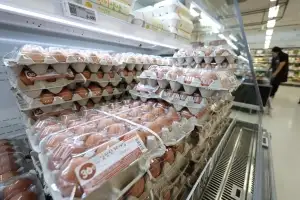 올라도 너무 오르네… 먹거리 물가 3.5% 상승 ‘1년 만에 최고’