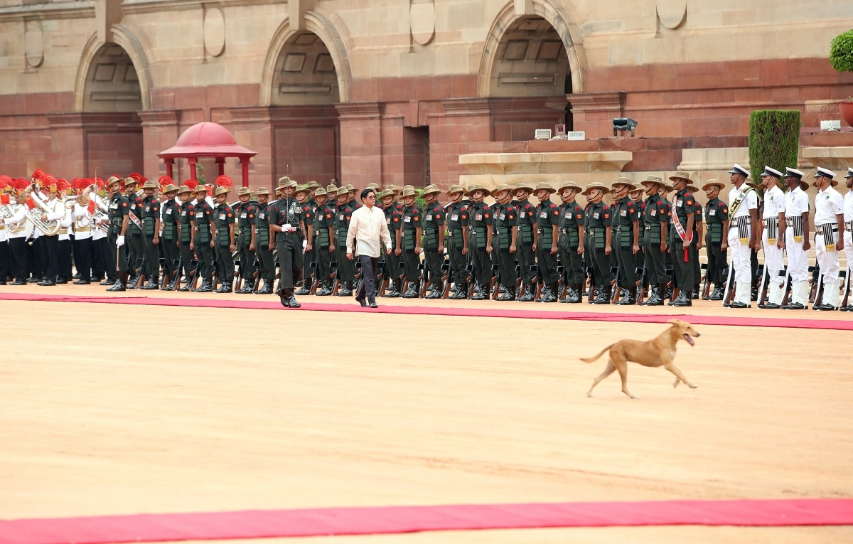 5일(현지시간) 인도 델리 대통령 관저에서 열린 페르디난드 마르코스 주니어 필리핀 대통령 환영 행사에서 떠돌이 개 한 마리가 행사장을 가로질러 가고 있다. 2025.8.5 EPA 연합뉴스