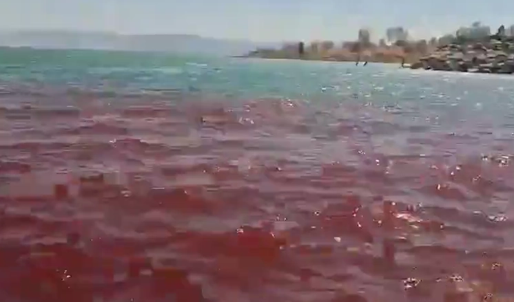 이스라엘 북부에 위치한 성경 속 갈릴리 호수가 최근 붉게 물들어 현지 주민과 관광객들 사이에서 “종말의 징조”라며 공포가 확산하고 있다. 이스라엘 자연 및 공원 관리청