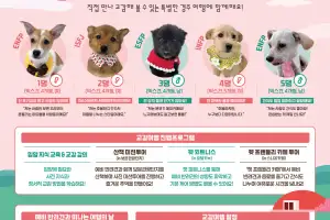 더위 꺾이면 반려동물과 함께…펫팸족 손짓하는 지자체들
