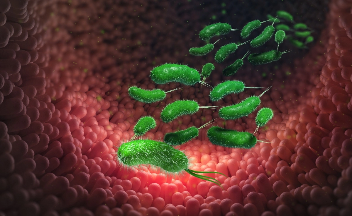 장내 미생물 시각화 이미지. 123rf