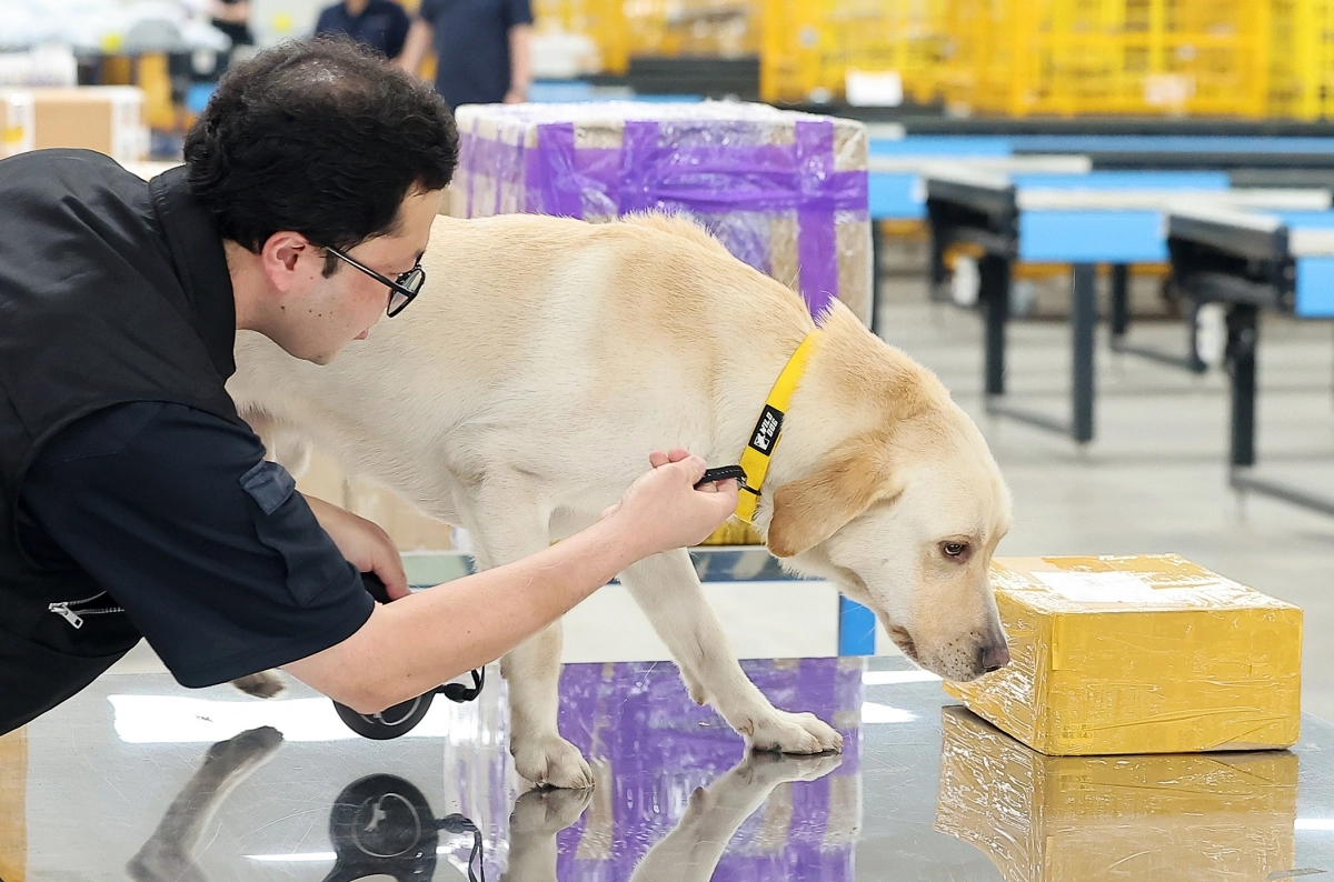 외국서 온 수화물 검색하는 탐지견
