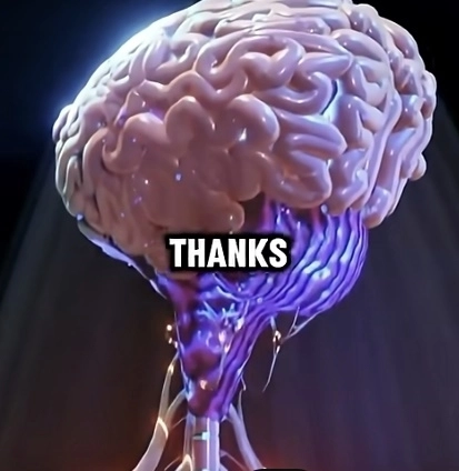 24시간 단식하는 동안 몸 속에서 일어나는 일을 시각화한 영상이 화제다. 유튜브 채널 ‘GrowFit Health’ 영상 캡처