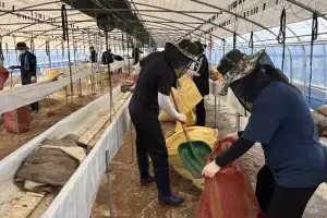 전남도, 집중호우 피해복구비 2804억원 확정