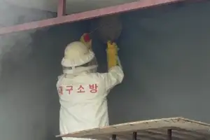 날도 더운데 벌까지 기승…대구소방 “8~9월 벌 쏘임 주의”