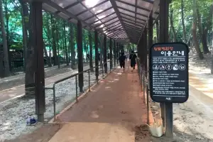 넓은 데크, 맨발 흙길… 서초 ‘길마중 초록숲길’