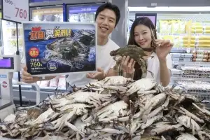 “햇꽃게가 10년 전보다 싸요”