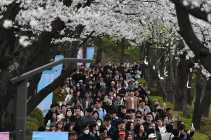 상반기 송파 찾은 관광객 6649만명