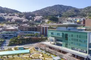 경남대학교, 간호·물리치료학과 수능최저 완화