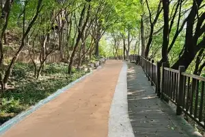 “맨발로 걷자”…종로 숭인공원 산책로 9월 개장