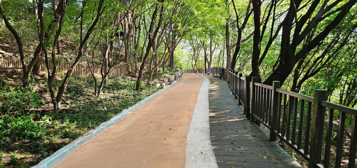 종로 숭인공원 맨발산책로