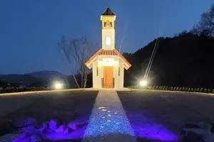 별빛이 내려앉은 숲